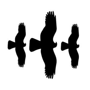 Vinylová samolepka proti nárazu ptáků